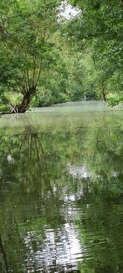 L'Enclos Bleu, Gite - Marais Poitevin Avec Piscine Chauffee Appartement Chaille-Les-Marais Buitenkant foto