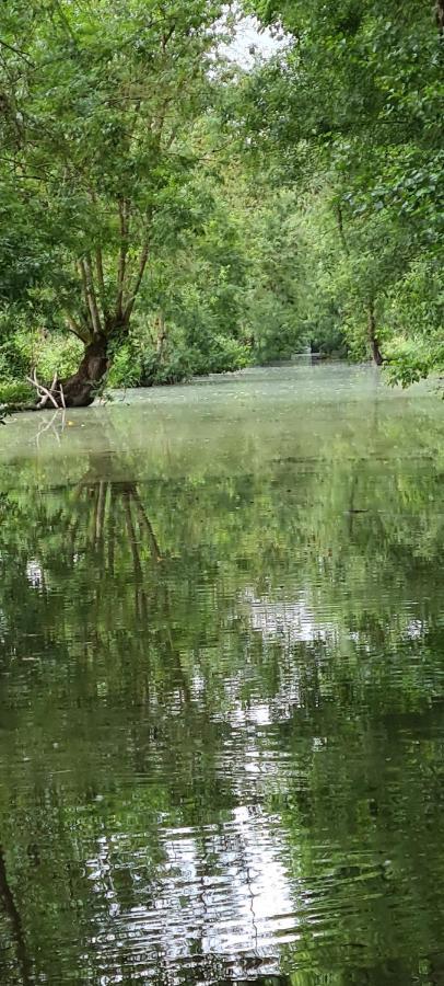 L'Enclos Bleu, Gite - Marais Poitevin Avec Piscine Chauffee Chaille-Les-Marais Buitenkant foto